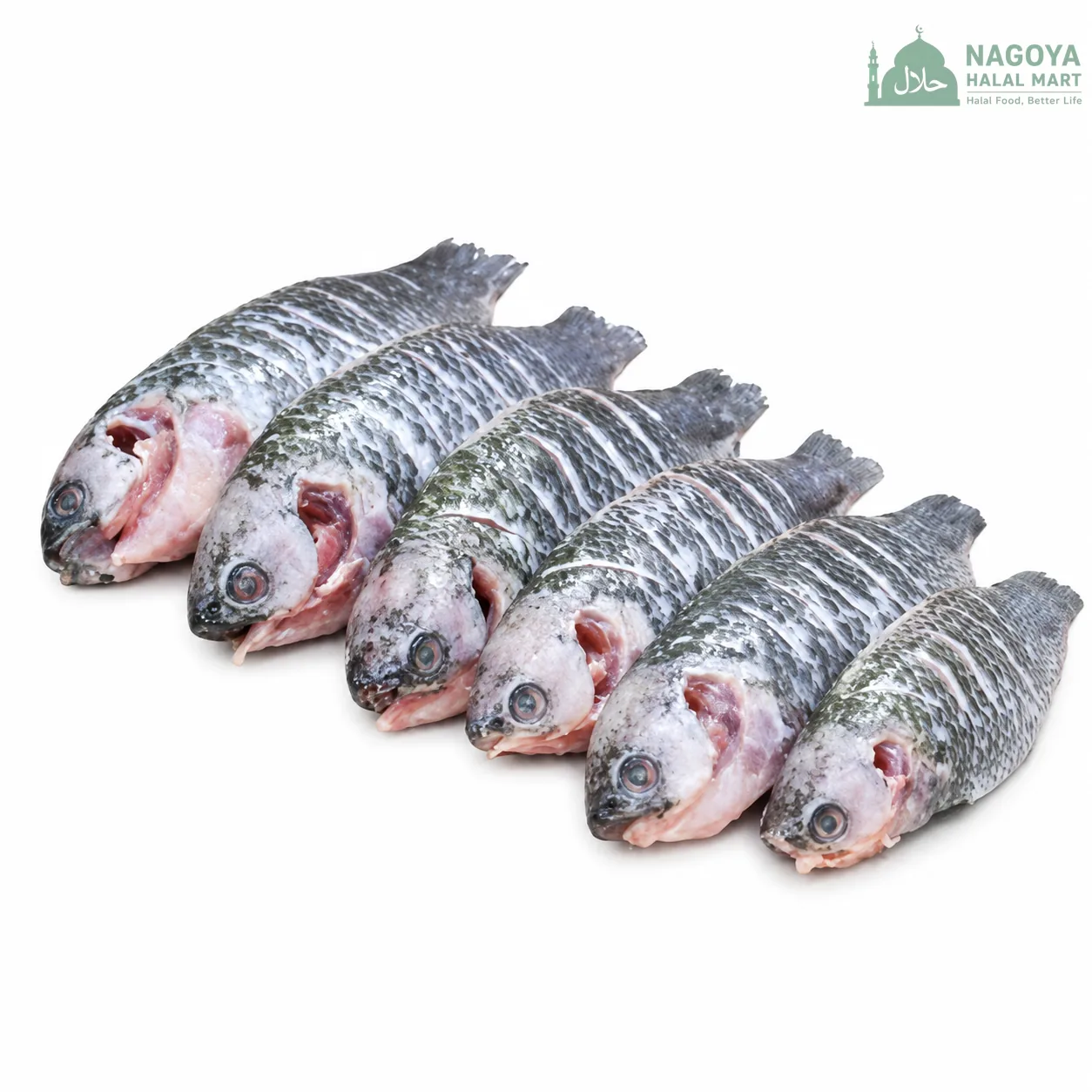 Koi Fish Packet