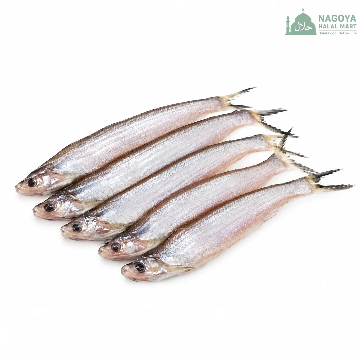 Kajoli Fish