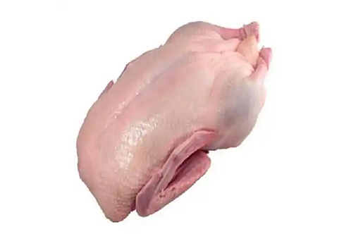 duck-meat2-300x300
